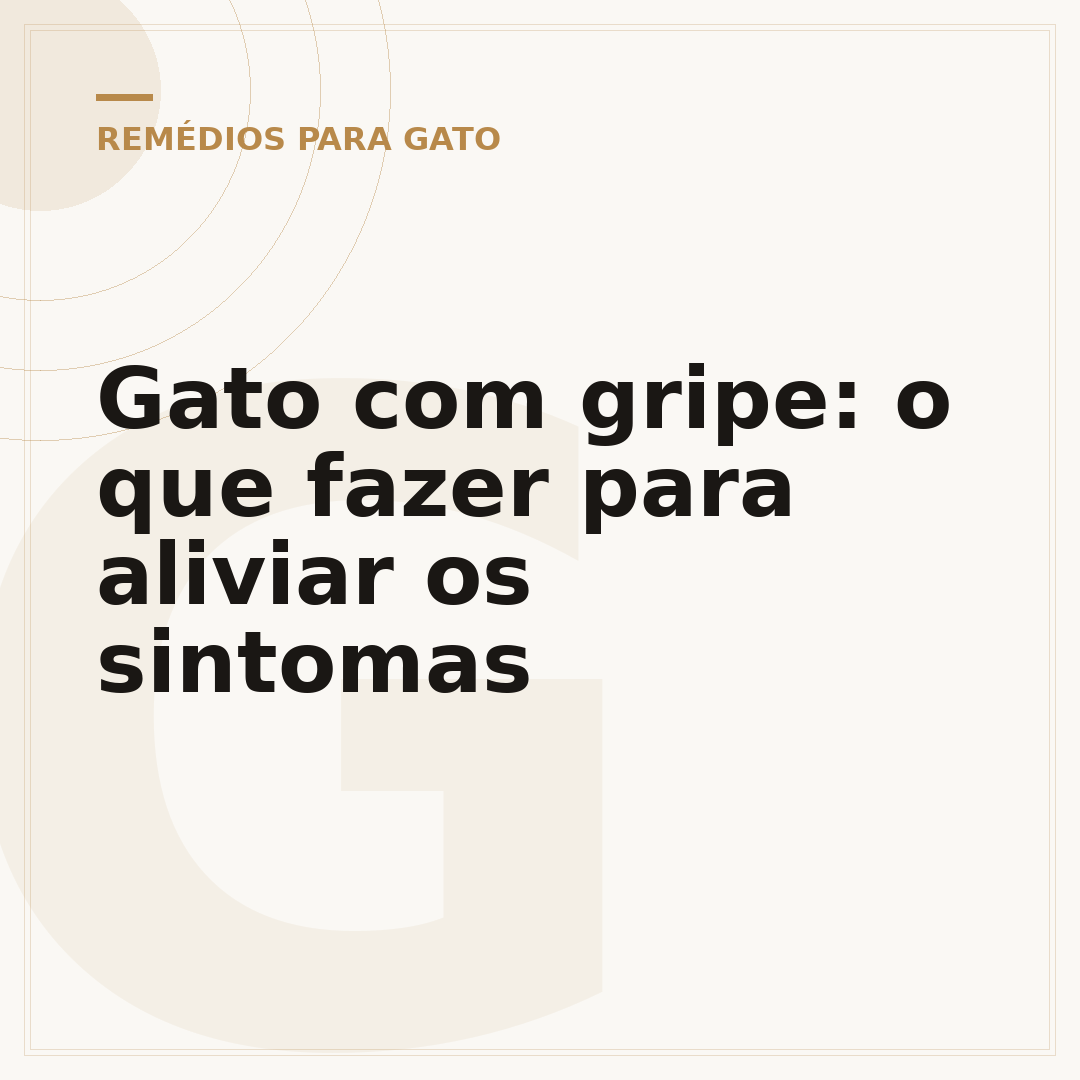 Gato com gripe: o que fazer para aliviar os sintomas