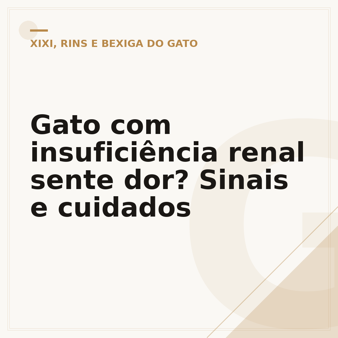 Gato com insuficiência renal sente dor? Sinais e cuidados