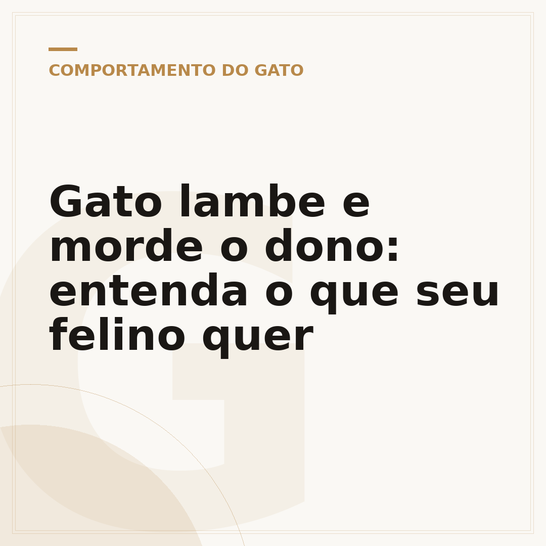 Gato lambe e morde o dono: entenda o que seu felino quer