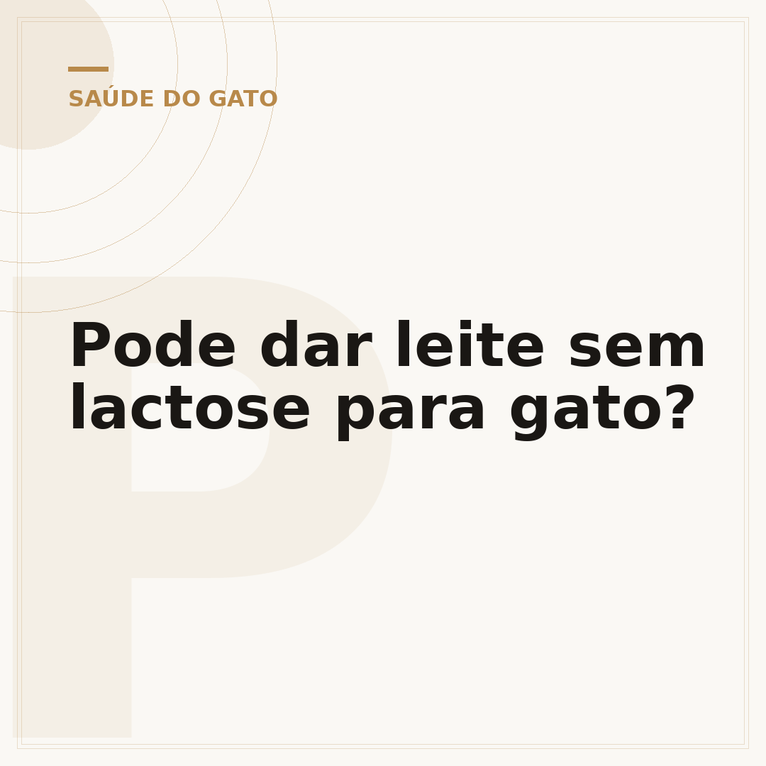 Pode dar leite sem lactose para gato?
