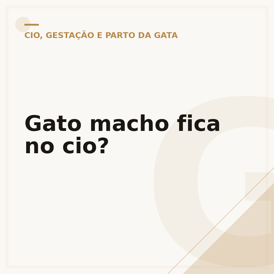 Gato macho fica no cio?