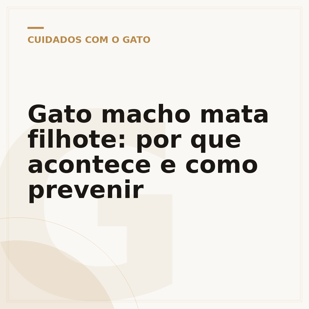 Gato macho mata filhote: por que acontece e como prevenir