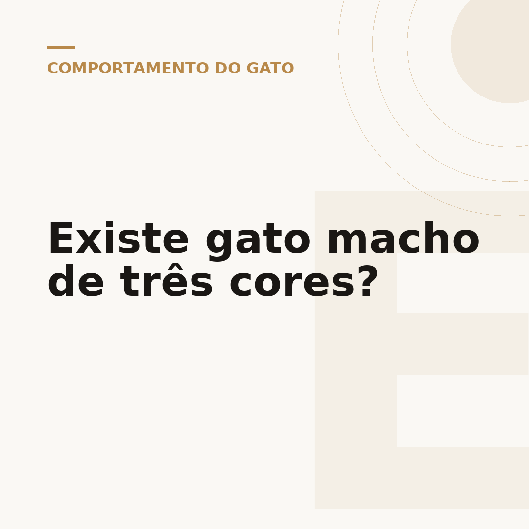 Existe gato macho de três cores?