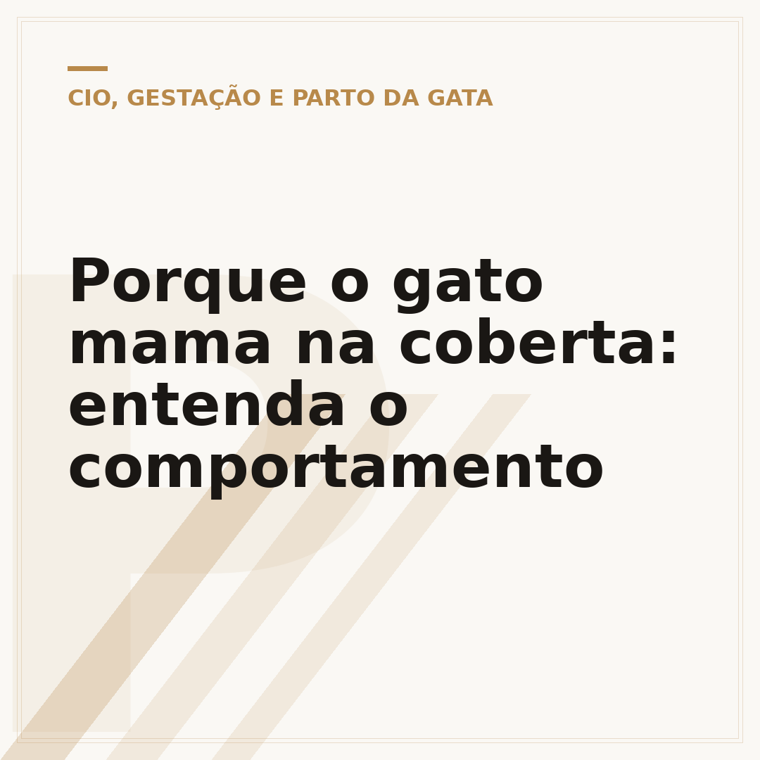 Porque o gato mama na coberta: entenda o comportamento