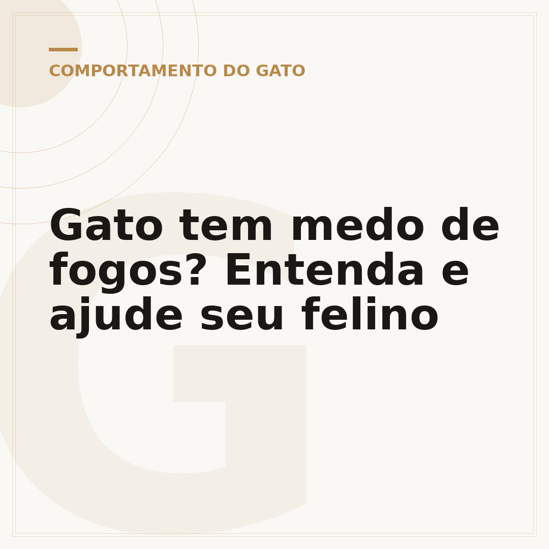 Gato tem medo de fogos? Entenda e ajude seu felino