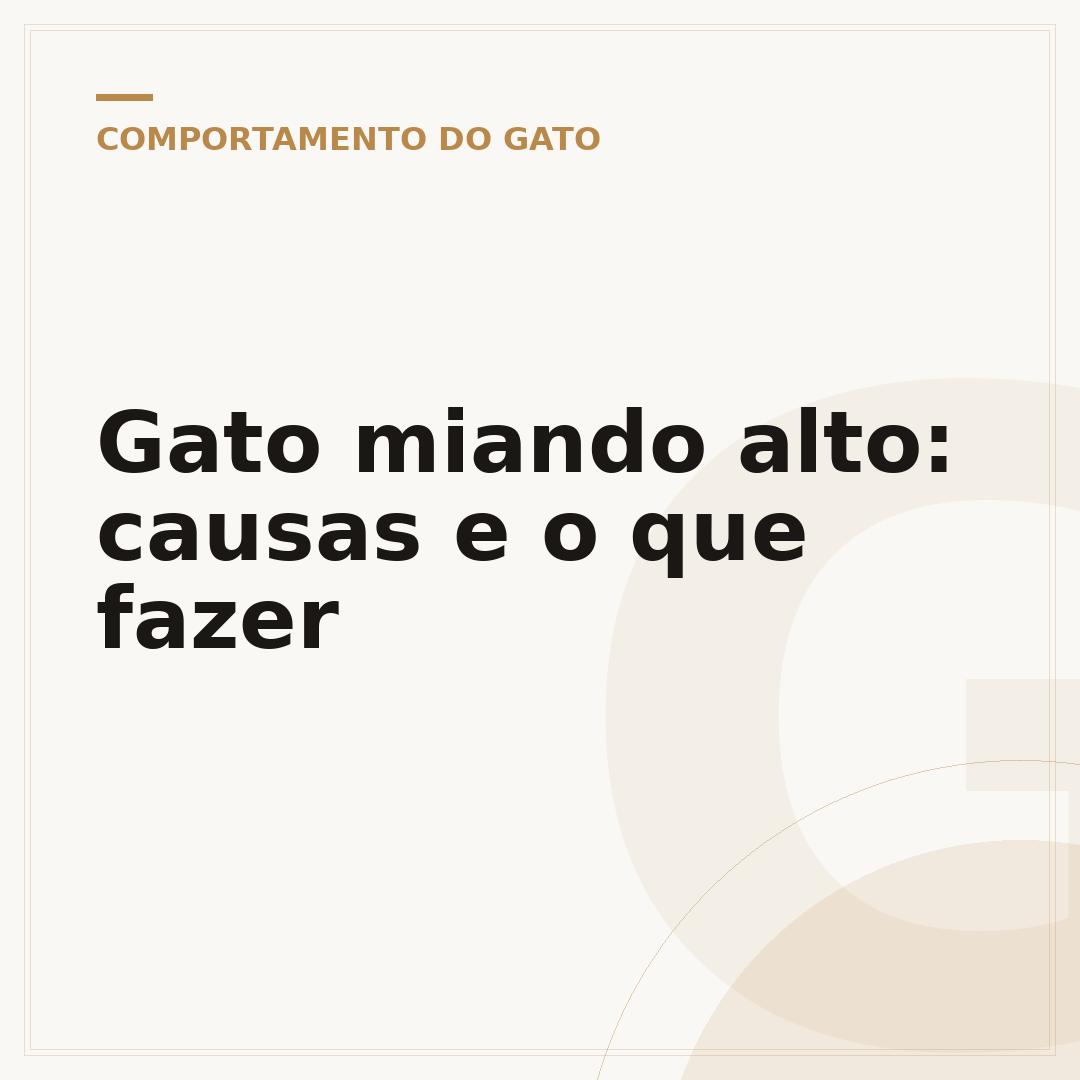 Gato miando alto: causas e o que fazer