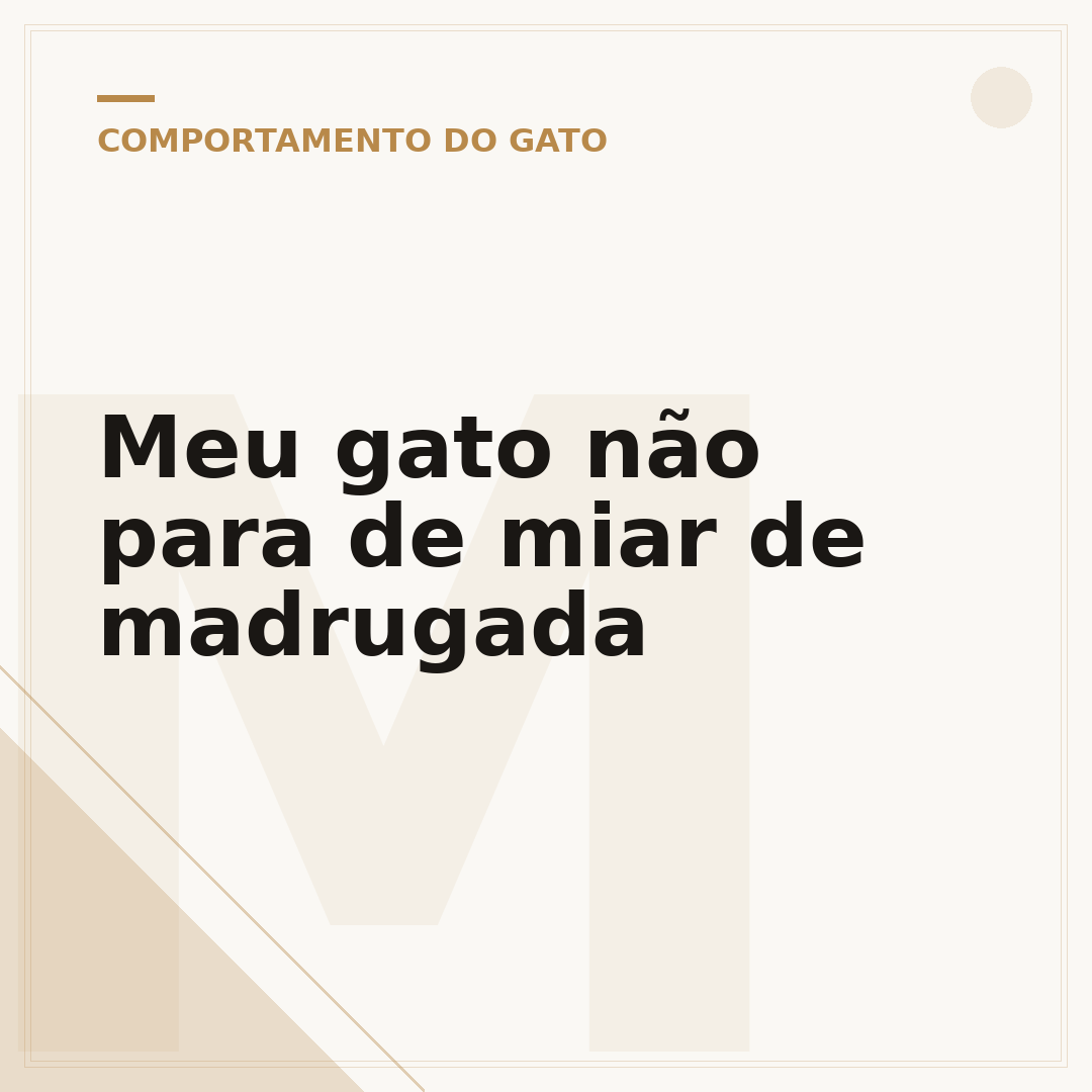 Meu gato não para de miar de madrugada