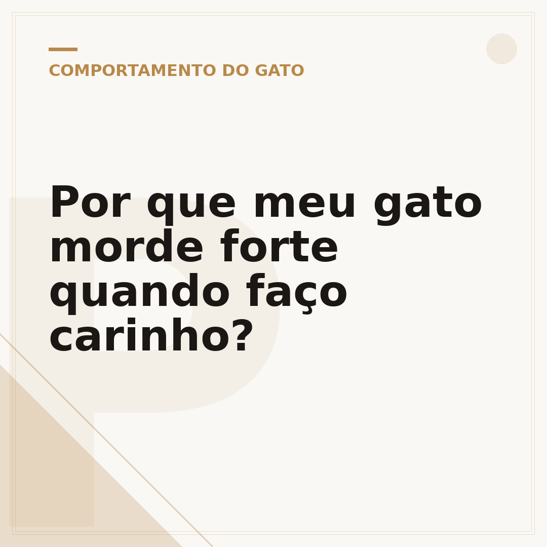 Por que meu gato morde forte quando faço carinho?