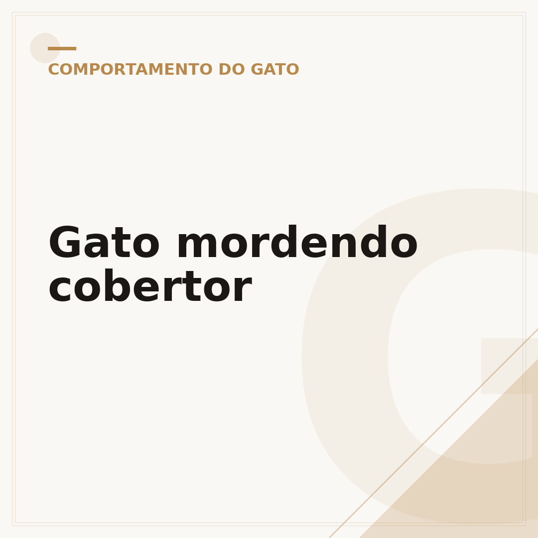 Gato mordendo cobertor