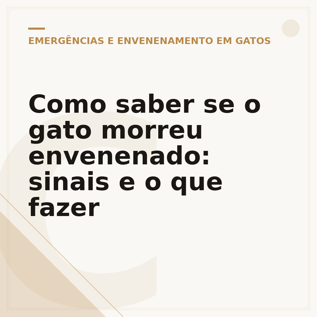 Como saber se o gato morreu envenenado: sinais e o que fazer