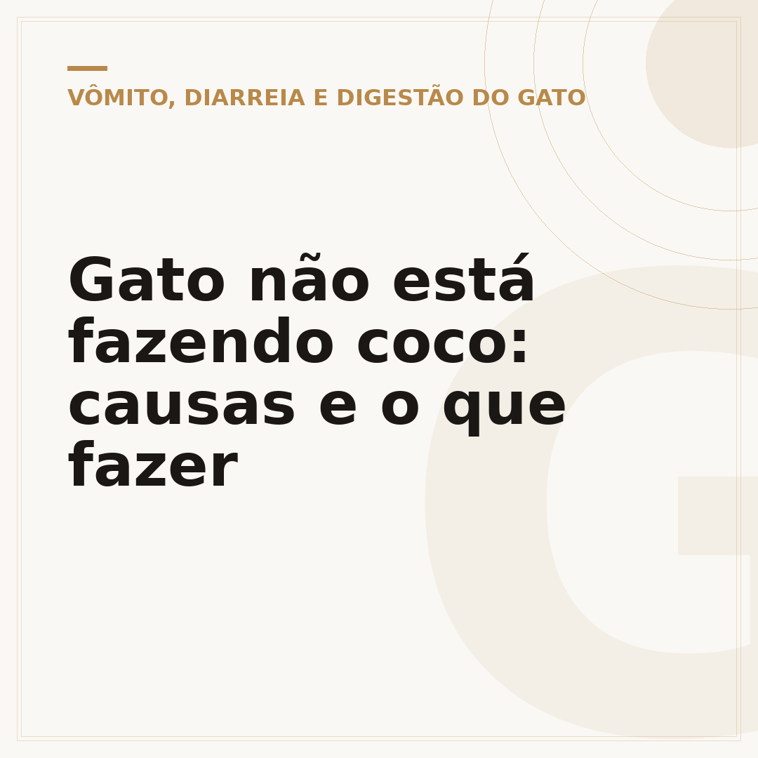 Gato não está fazendo coco: causas e o que fazer