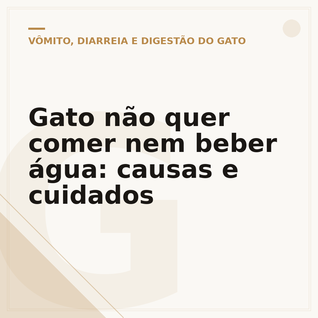 Gato não quer comer nem beber água: causas e cuidados