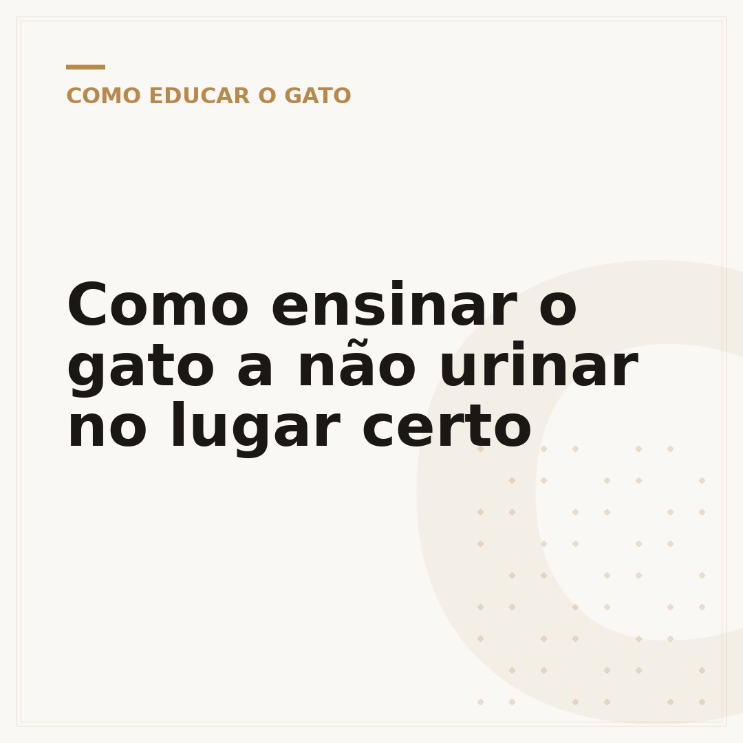 Como ensinar o gato a não urinar no lugar certo