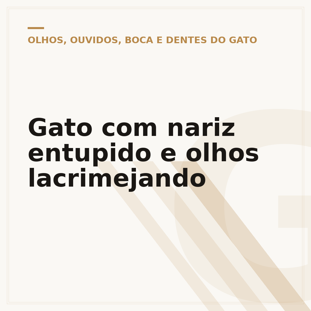 Gato com nariz entupido e olhos lacrimejando