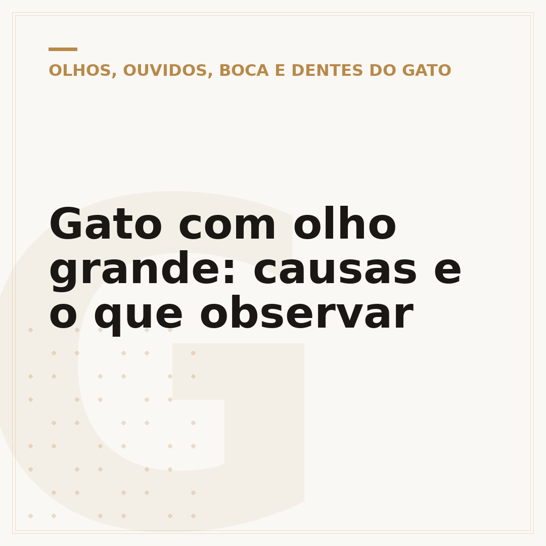 Gato com olho grande: causas e o que observar