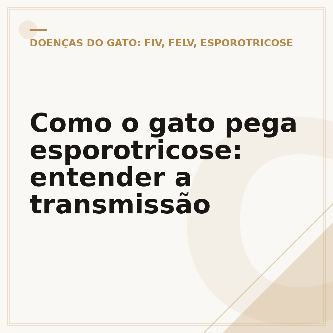 Como o gato pega esporotricose: entender a transmissão