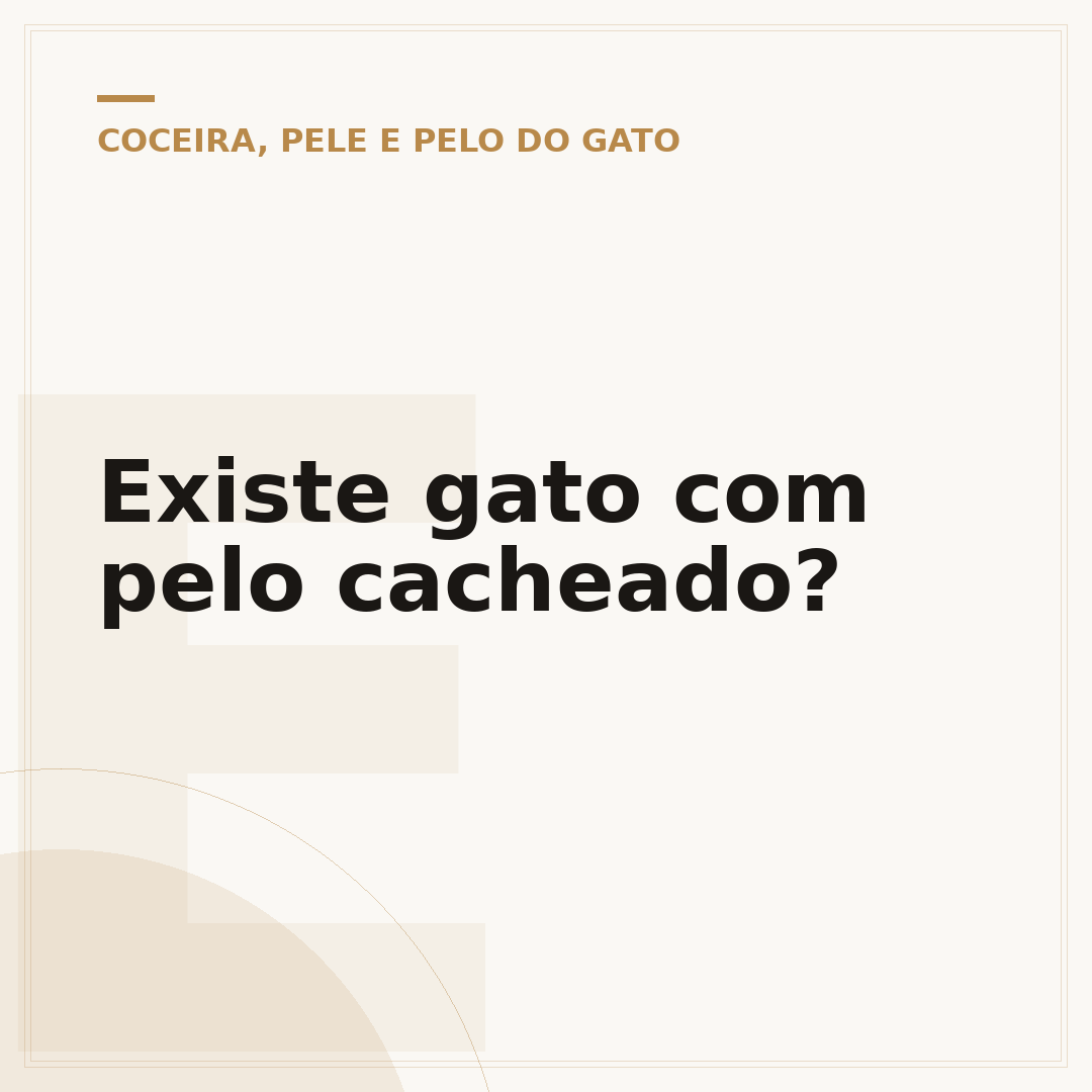 Existe gato com pelo cacheado?