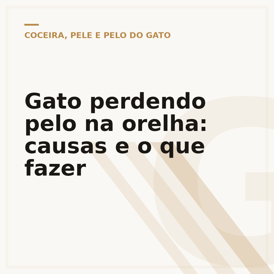 Gato perdendo pelo na orelha: causas e o que fazer
