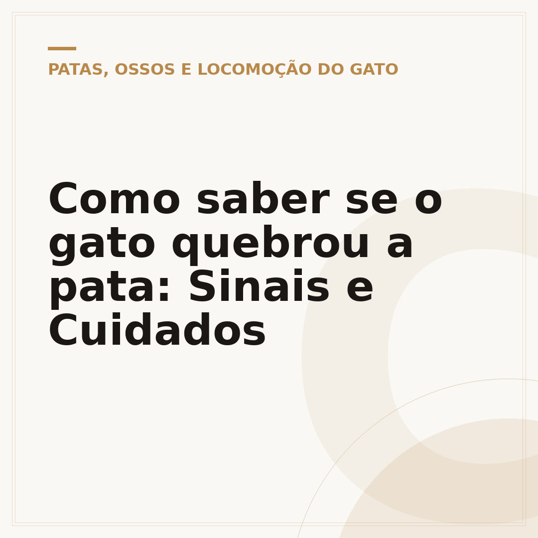 Como saber se o gato quebrou a pata: Sinais e Cuidados