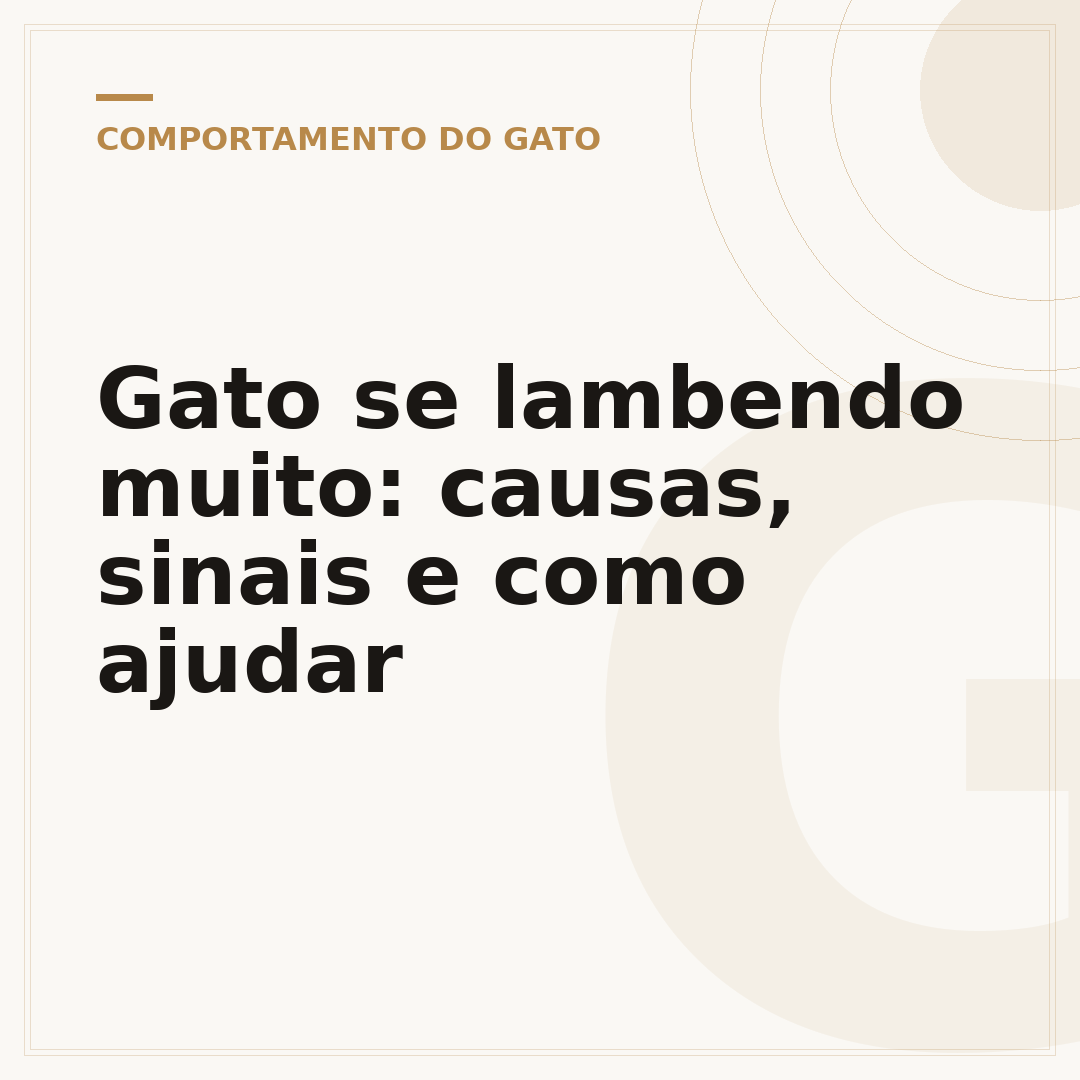 Gato se lambendo muito: causas, sinais e como ajudar