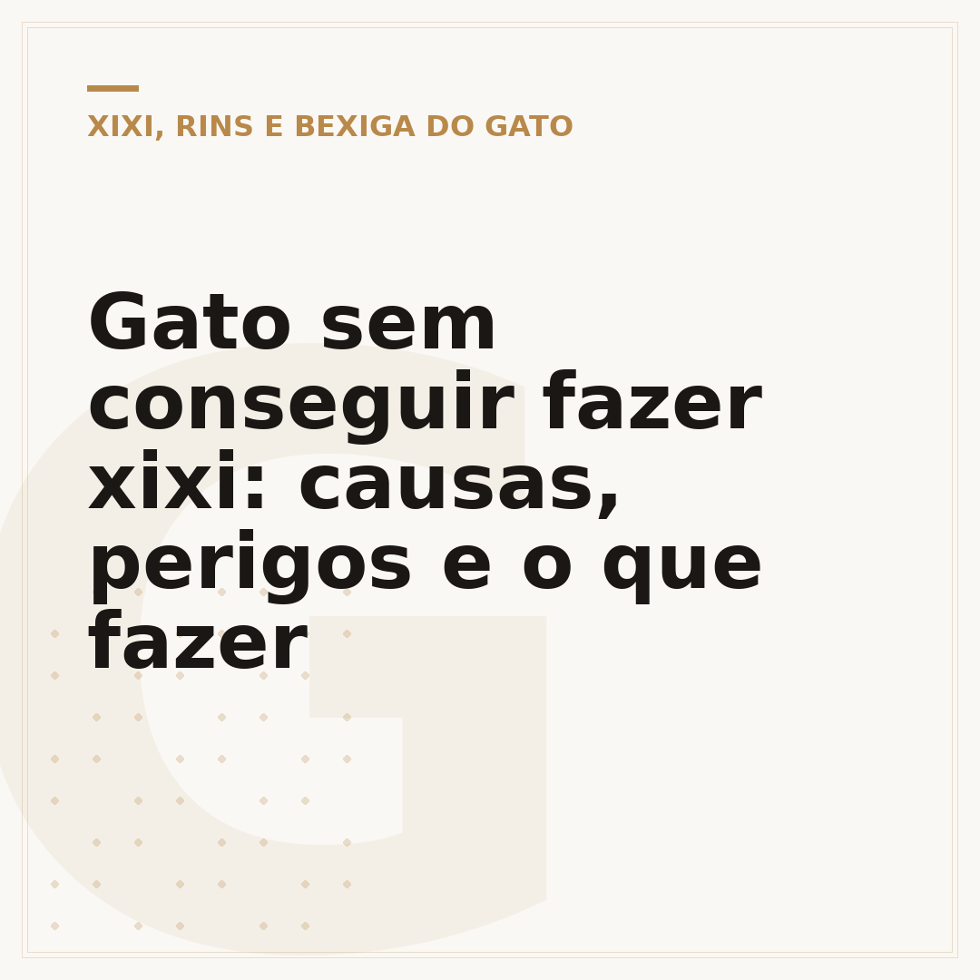 Gato sem conseguir fazer xixi: causas, perigos e o que fazer