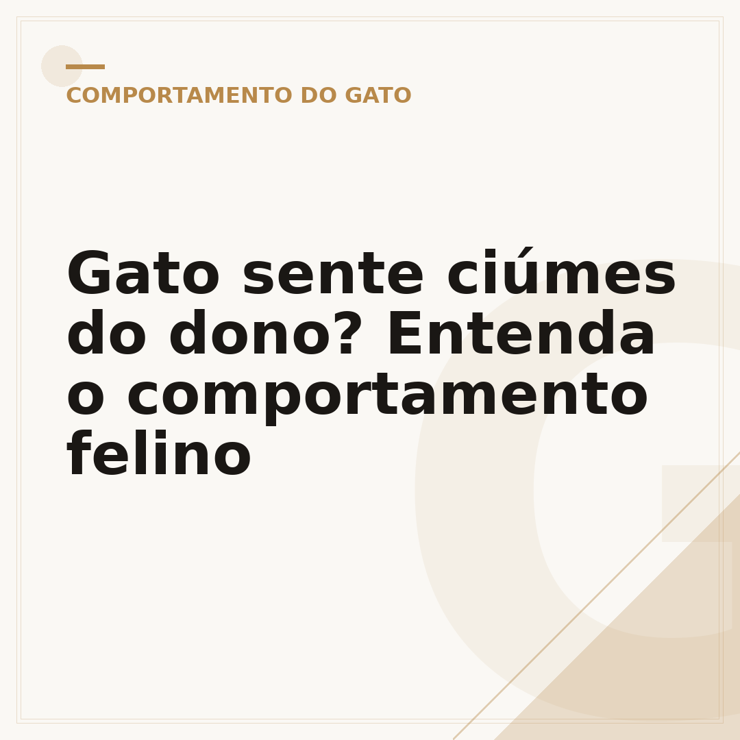 Gato sente ciúmes do dono? Entenda o comportamento felino