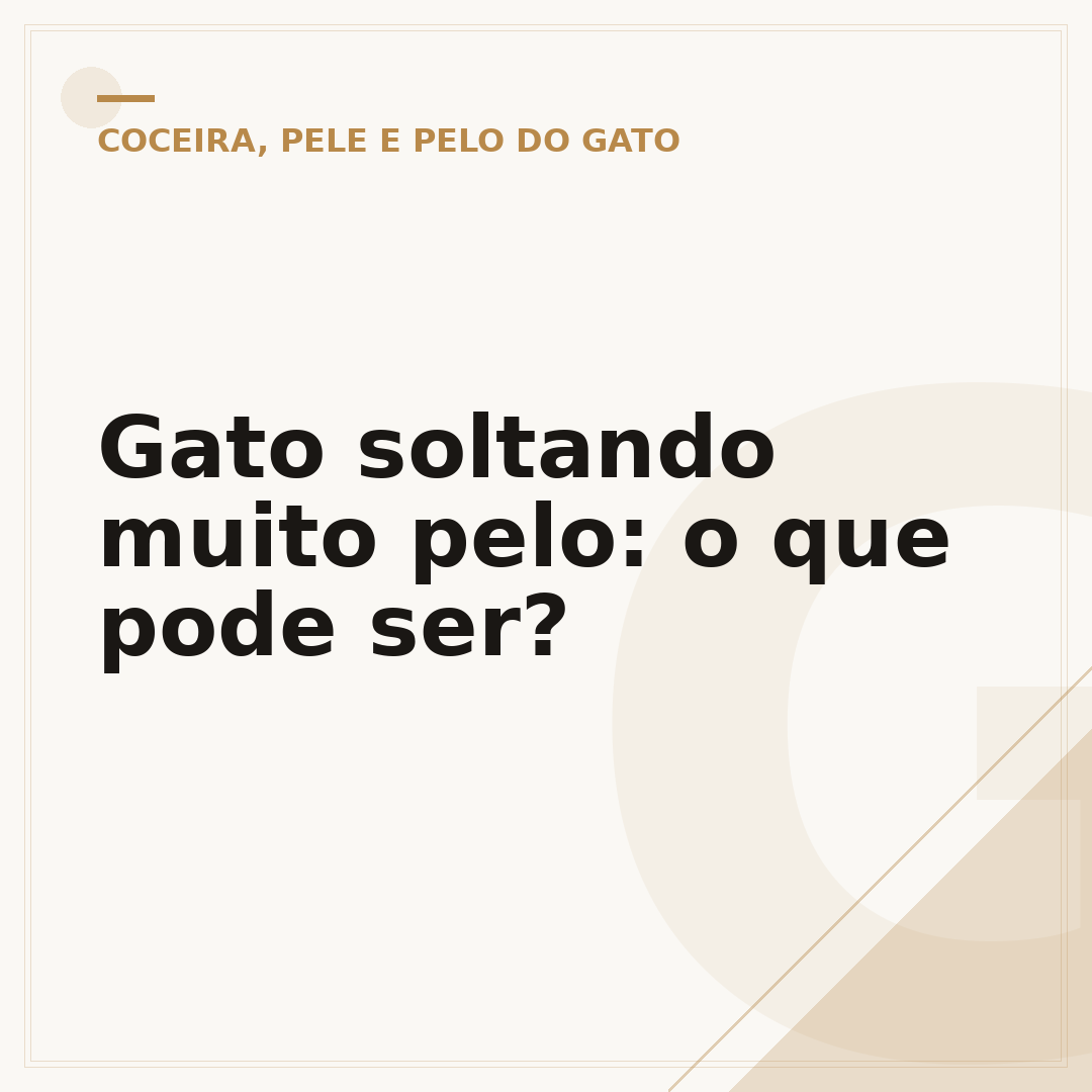 Gato soltando muito pelo: o que pode ser?
