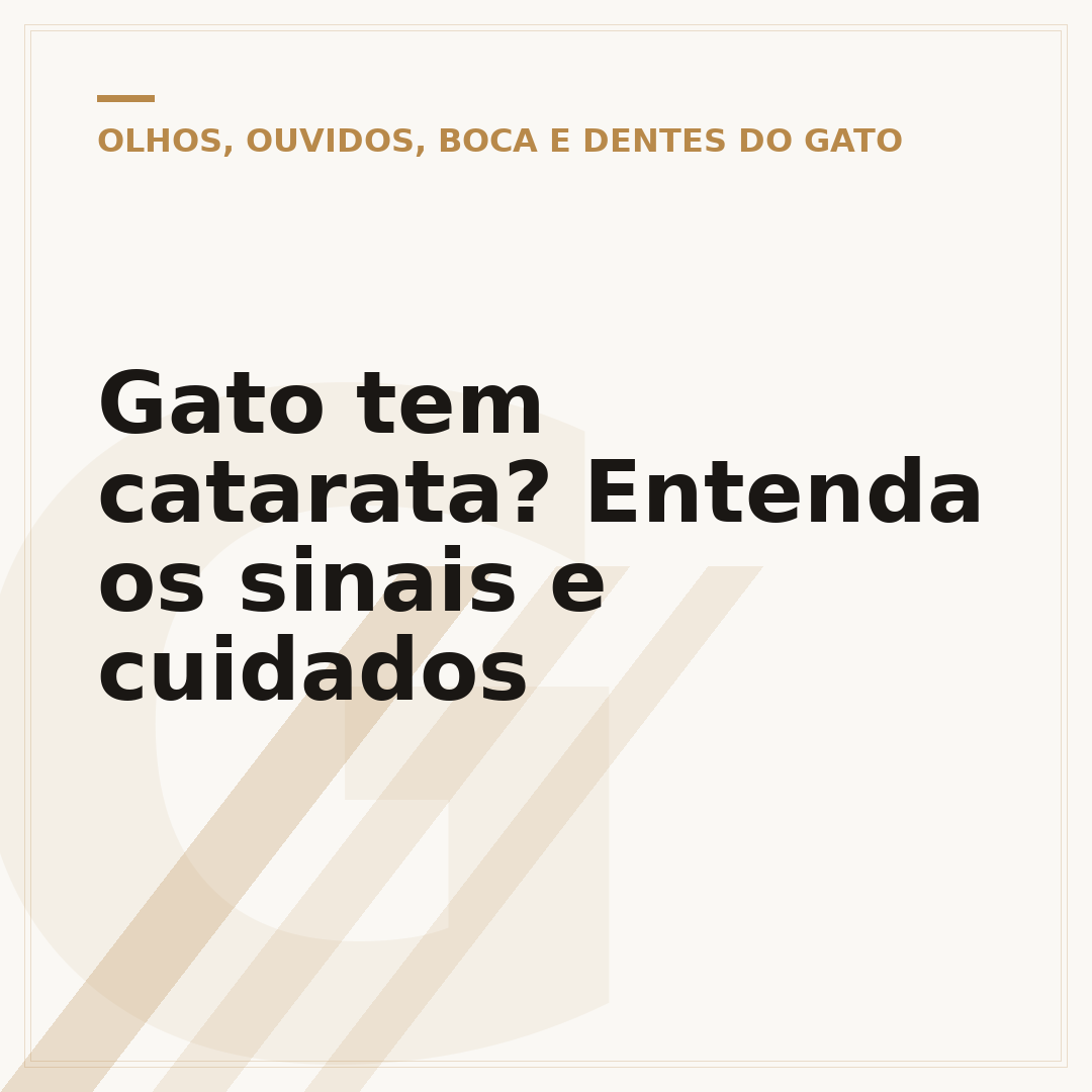 Gato tem catarata? Entenda os sinais e cuidados