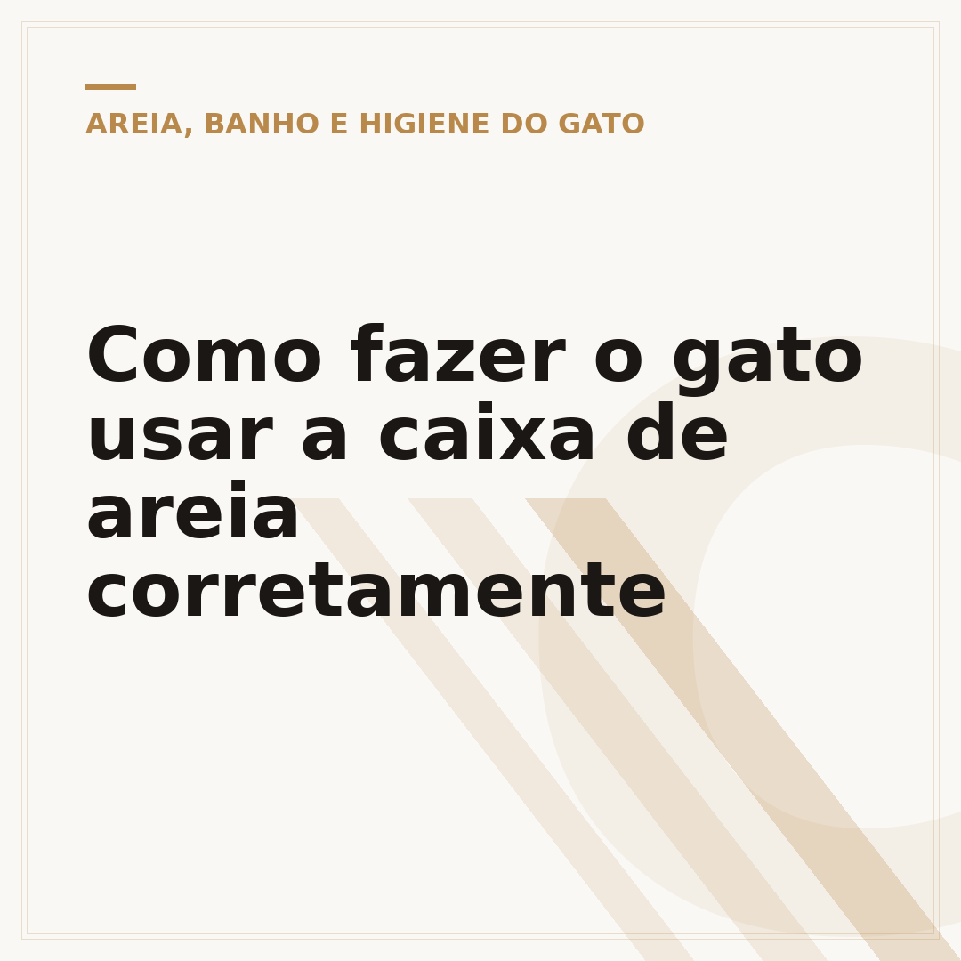 Como fazer o gato usar a caixa de areia corretamente
