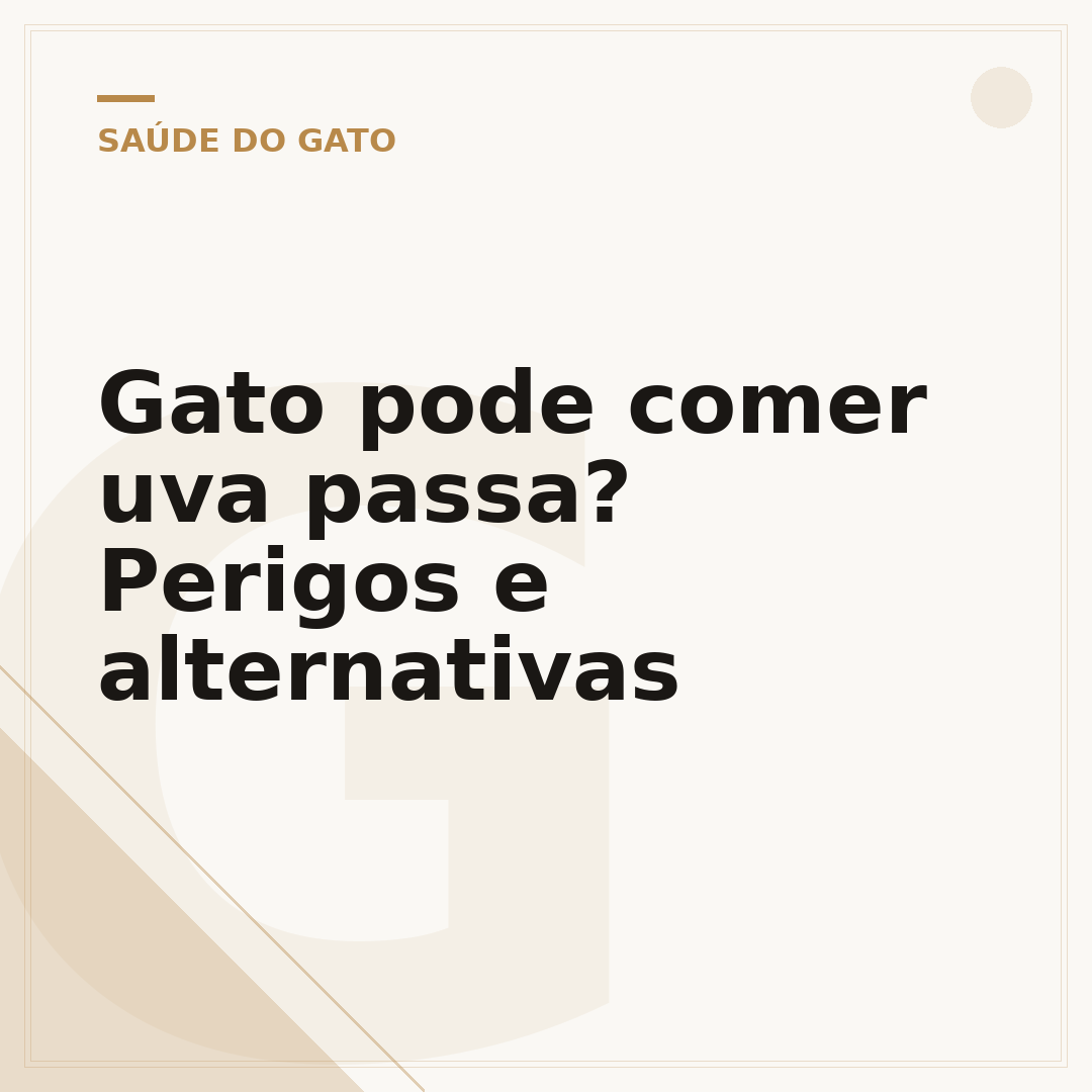 Gato pode comer uva passa? Perigos e alternativas