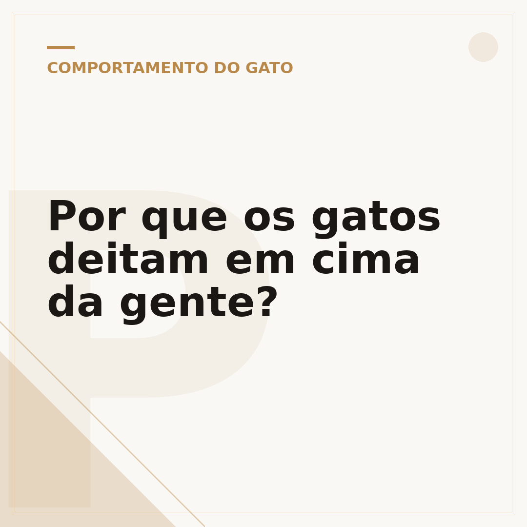 Por que os gatos deitam em cima da gente?