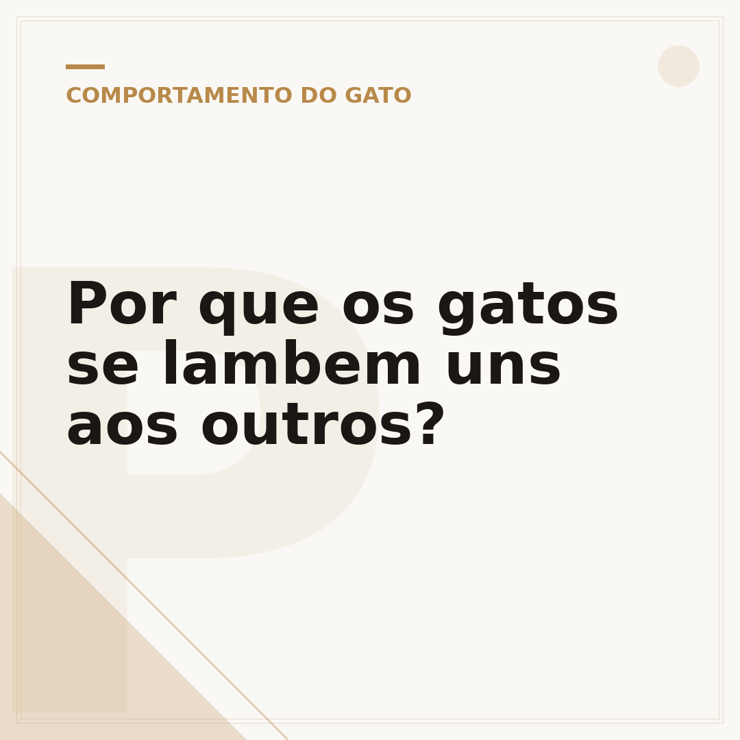 Por que os gatos se lambem uns aos outros?
