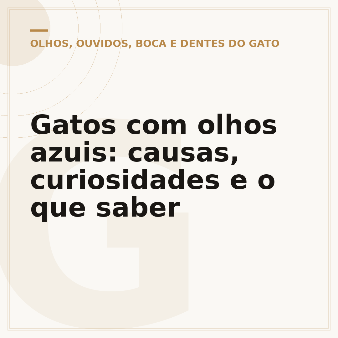 Gatos com olhos azuis: causas, curiosidades e o que saber
