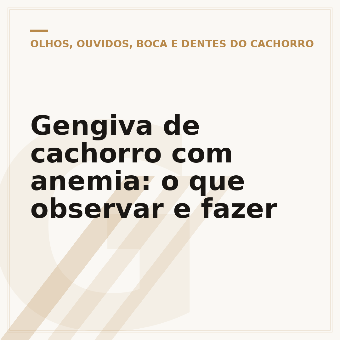 Gengiva de cachorro com anemia: o que observar e fazer