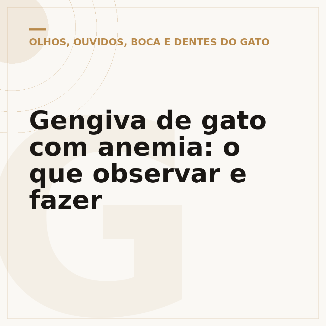 Gengiva de gato com anemia: o que observar e fazer