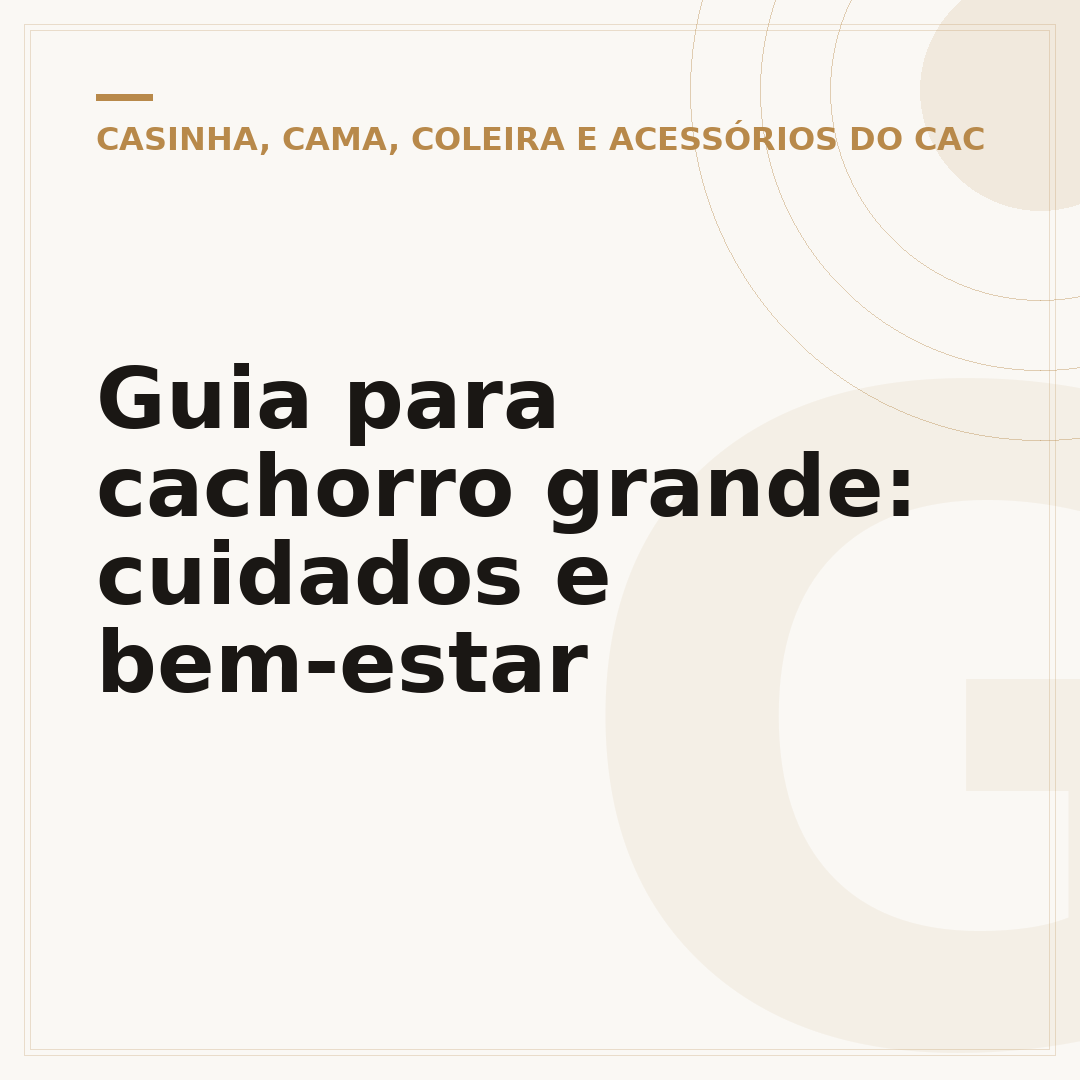 Guia para cachorro grande: cuidados e bem-estar