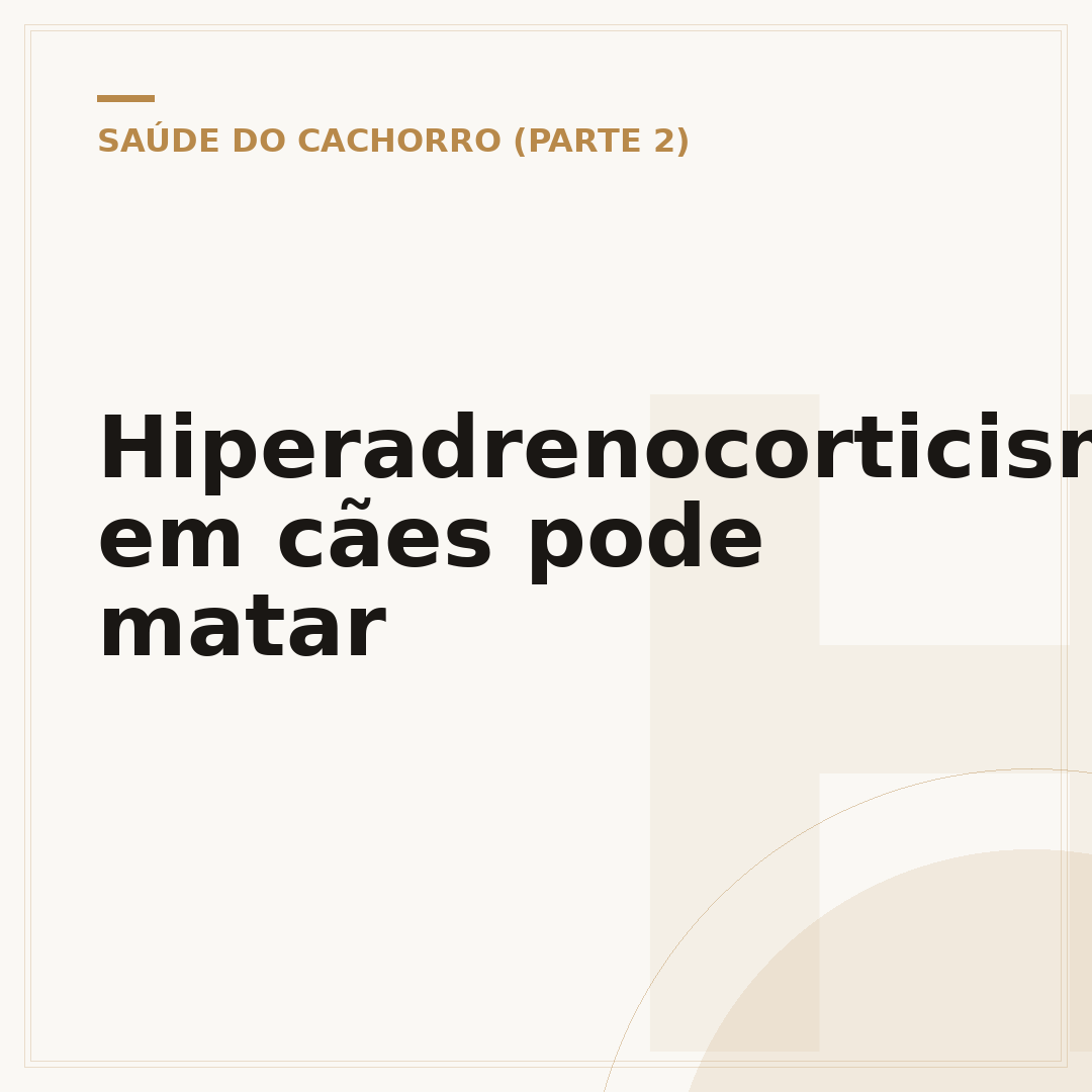 Hiperadrenocorticismo em cães pode matar