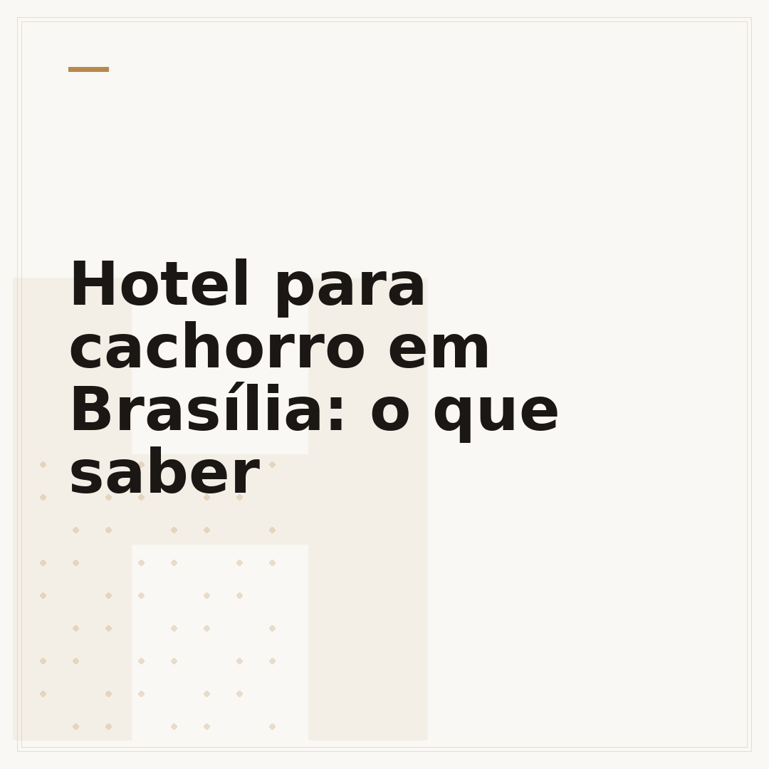 Hotel para cachorro em Brasília: o que saber
