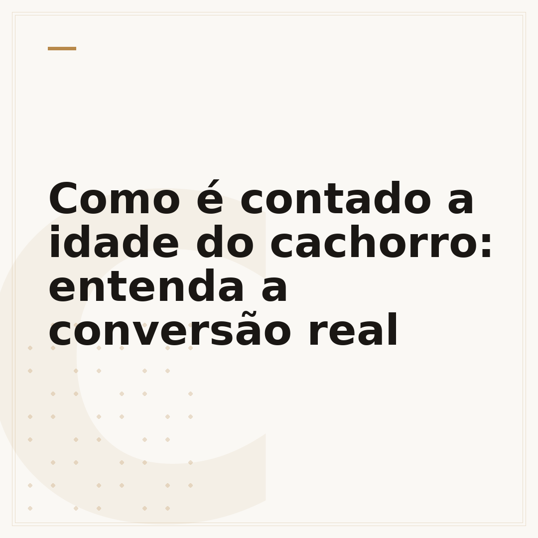 Como é contado a idade do cachorro: entenda a conversão real