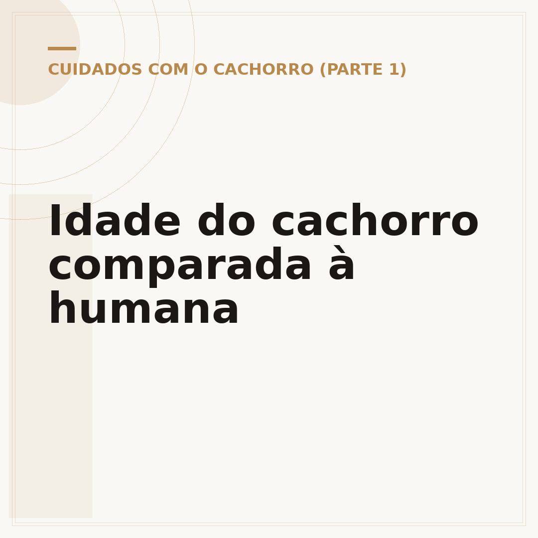 Idade do cachorro comparada à humana