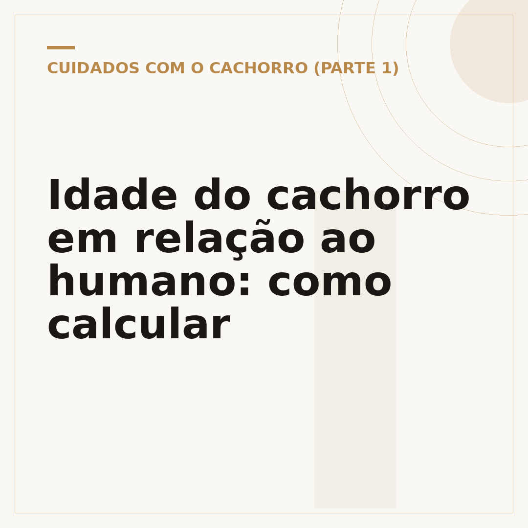 Idade do cachorro em relação ao humano: como calcular