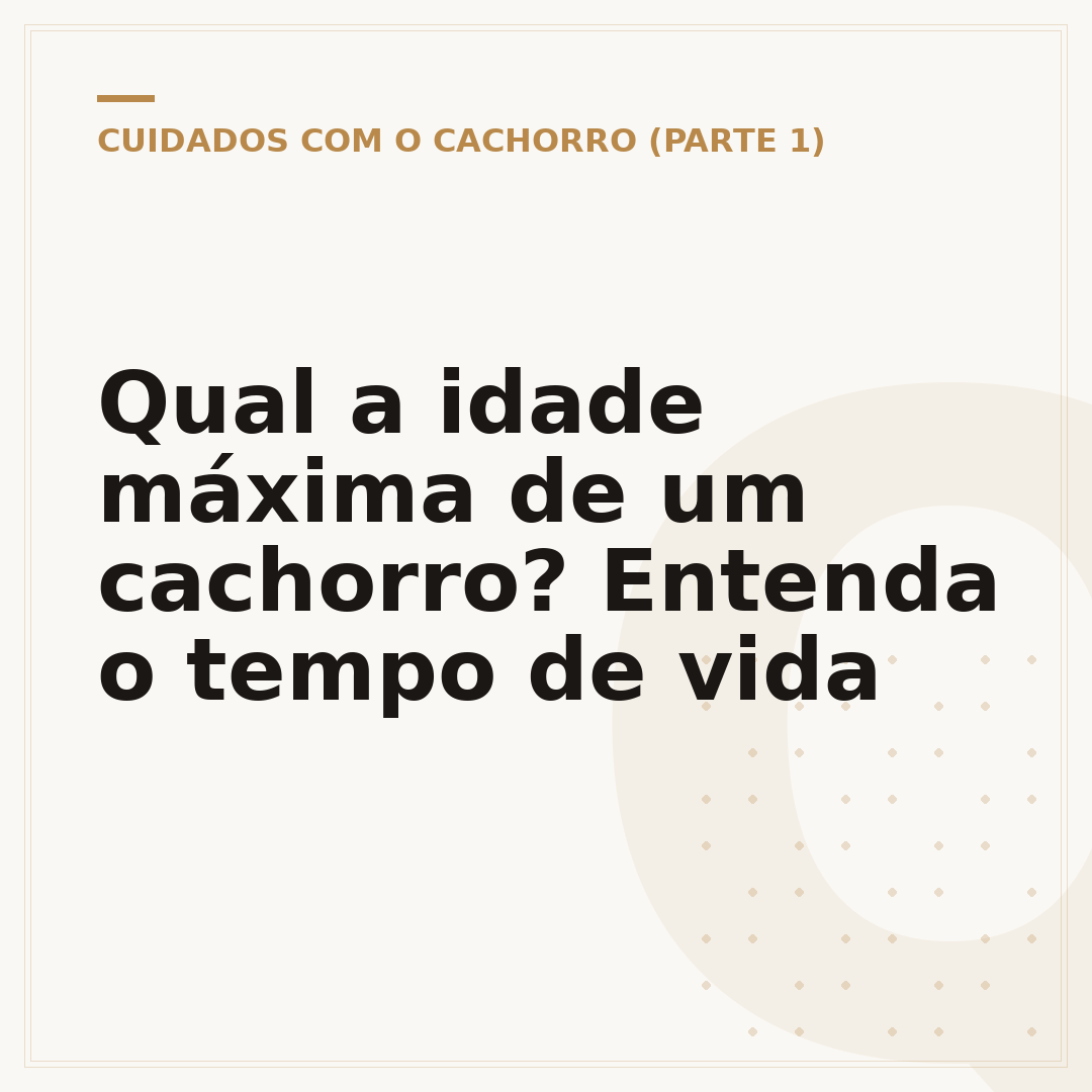Qual a idade máxima de um cachorro? Entenda o tempo de vida