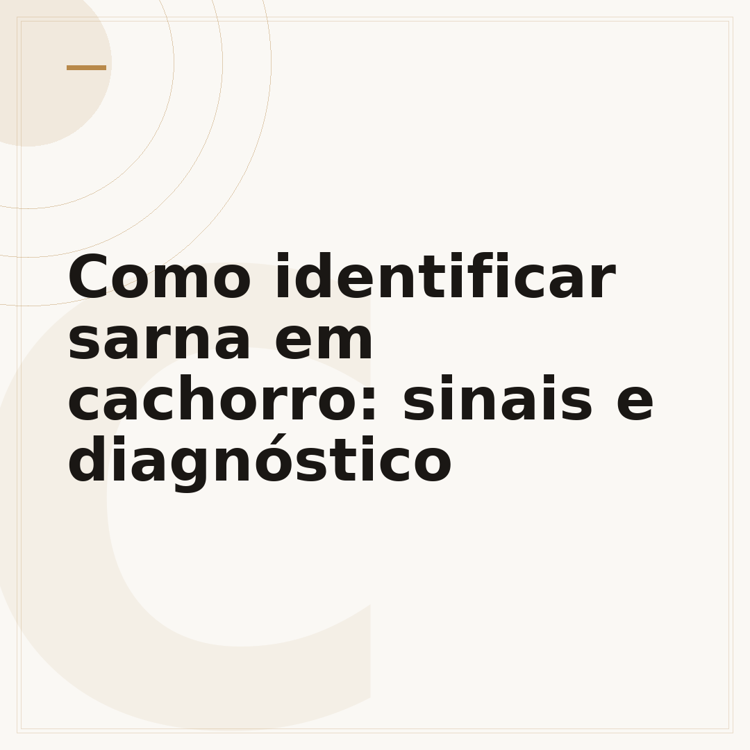 Como identificar sarna em cachorro: sinais e diagnóstico