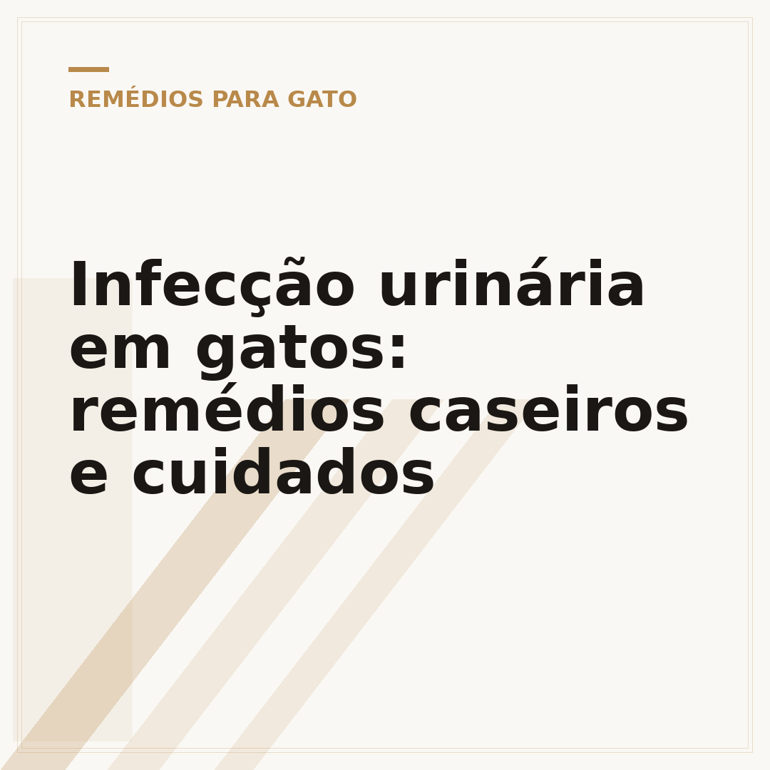 Infecção urinária em gatos: remédios caseiros e cuidados