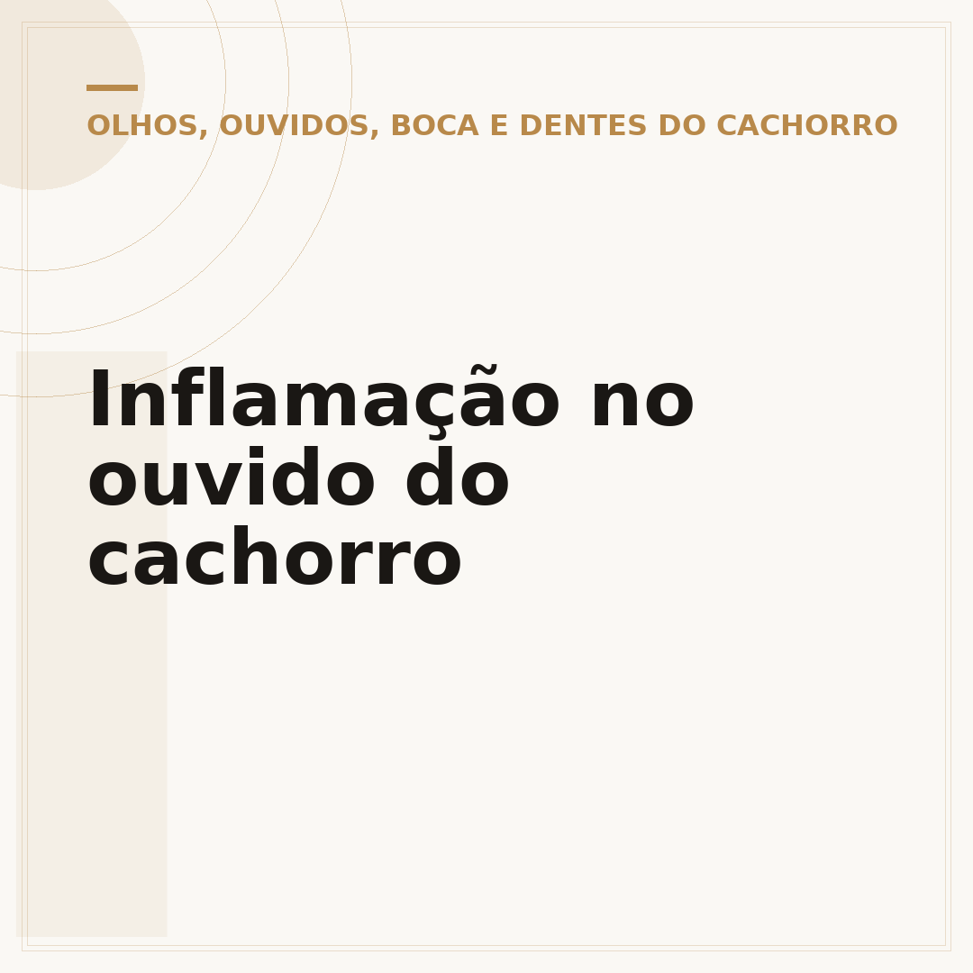 Inflamação no ouvido do cachorro