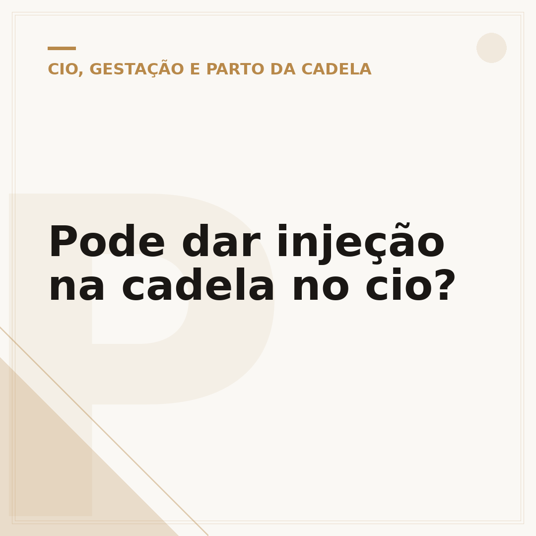 Pode dar injeção na cadela no cio?