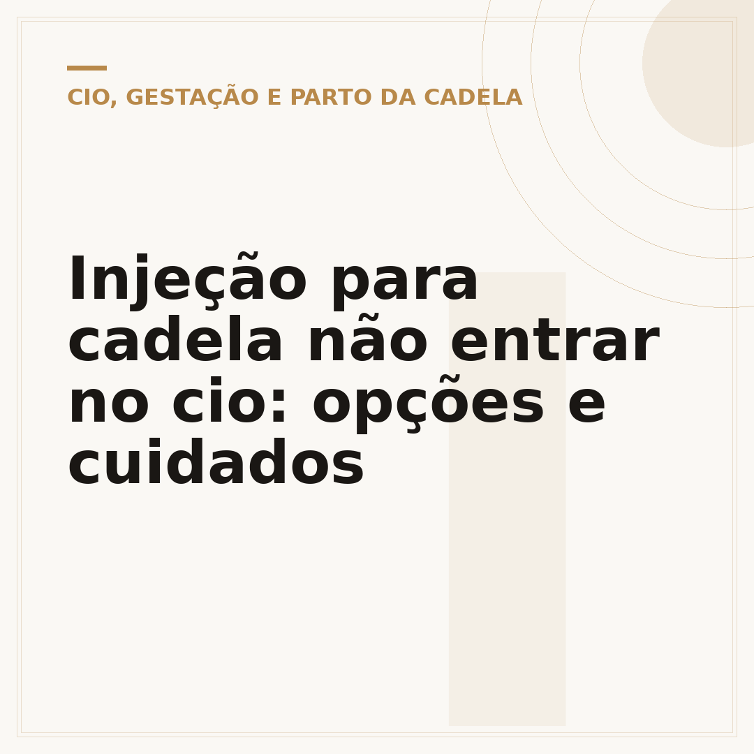 Injeção para cadela não entrar no cio: opções e cuidados
