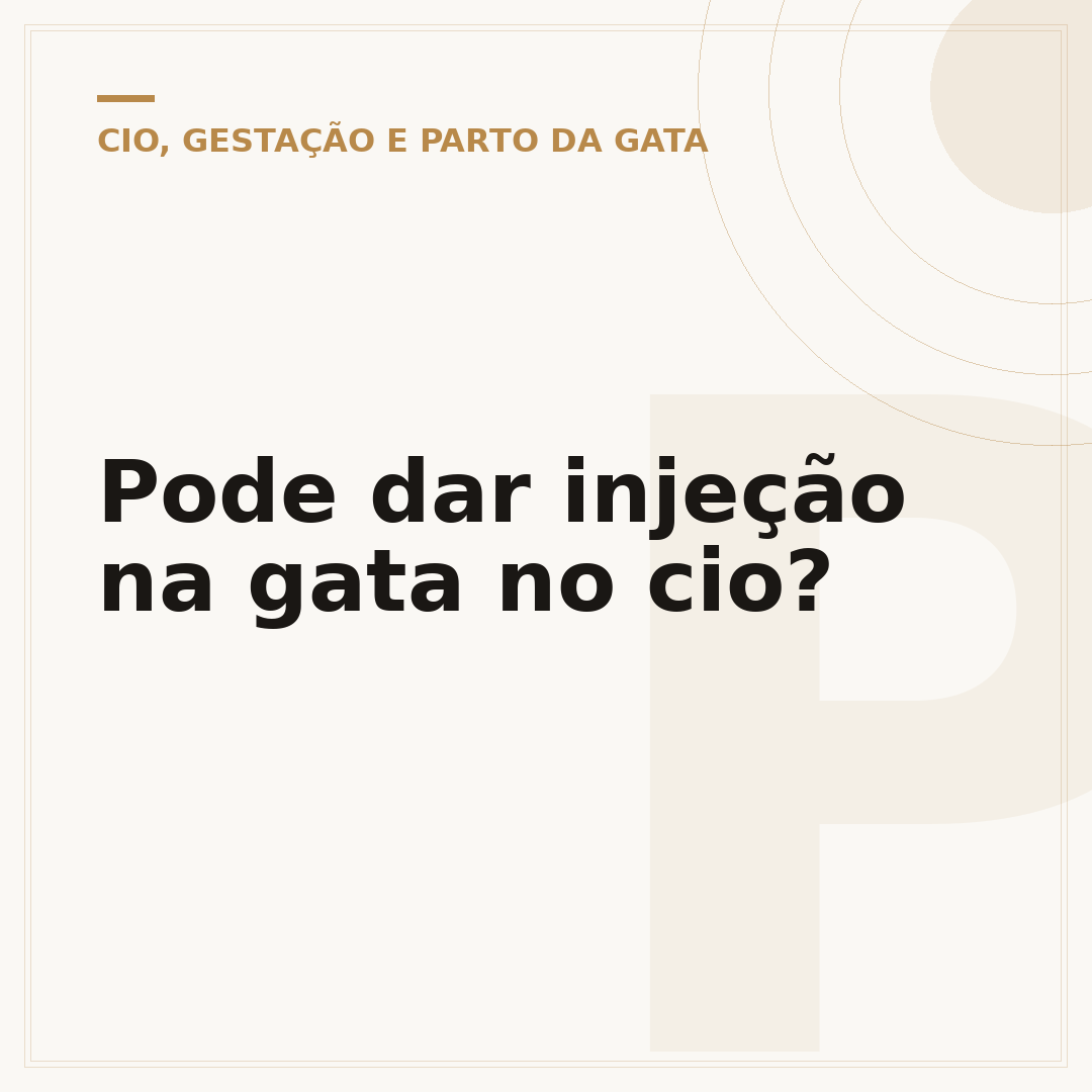 Pode dar injeção na gata no cio?
