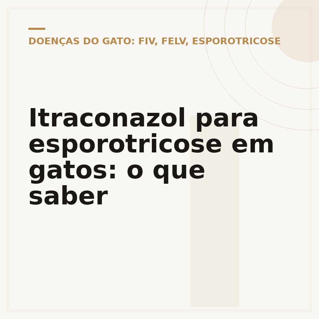 Itraconazol para esporotricose em gatos: o que saber