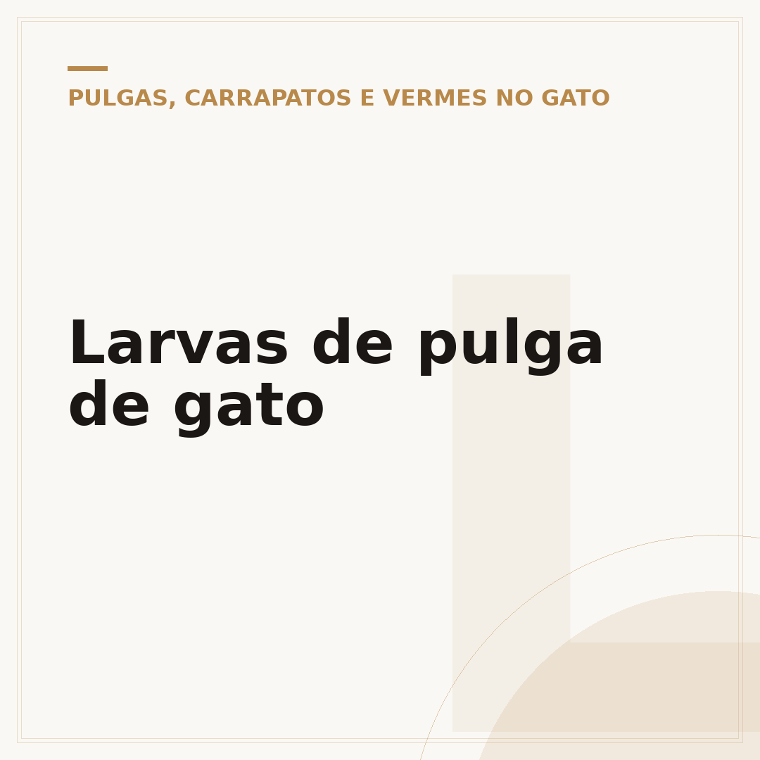 Larvas de pulga de gato
